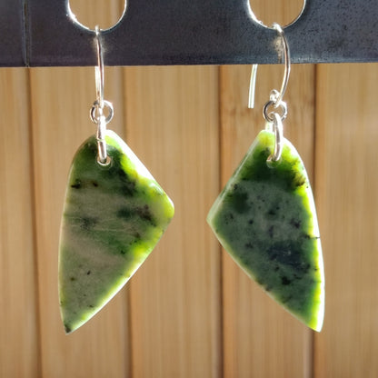 Diopside Gemstone TearDrop Earrings